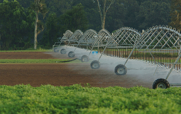 Pivot irrigation over a freshly dug field