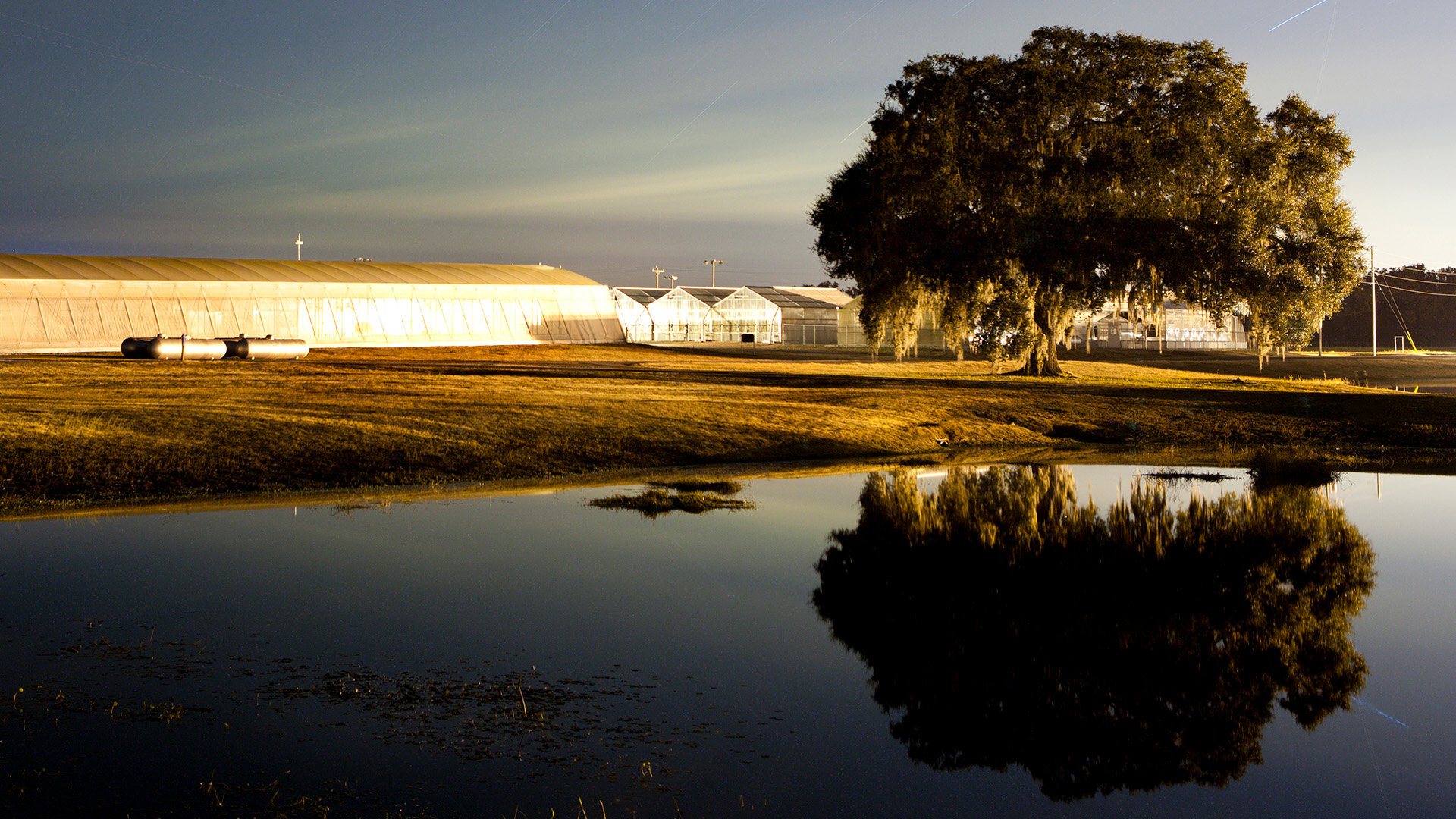Greenhouses at the Plant Science Research and Education Center in Citra, Florida