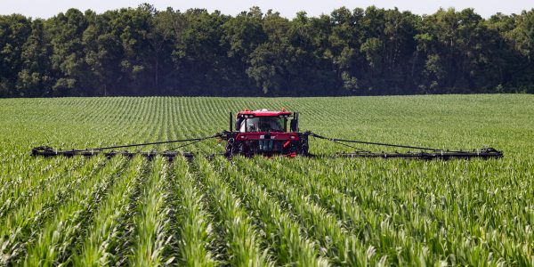 Years of UF research yields science-backed fertilization rates