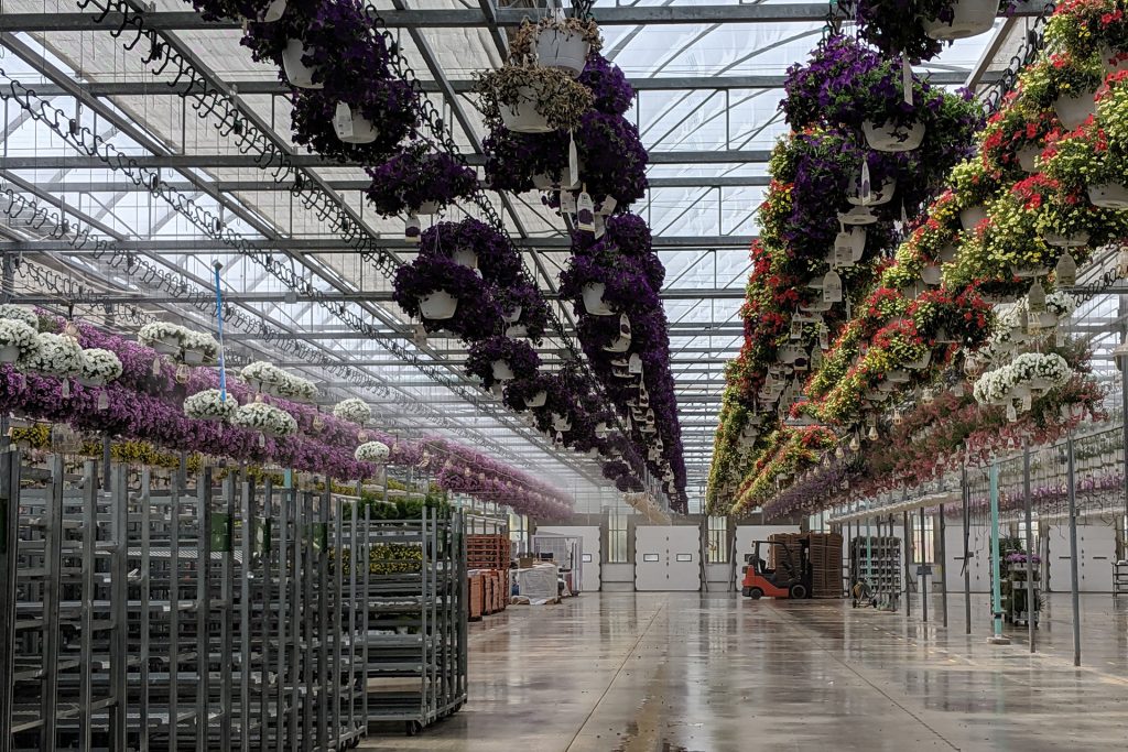 CLUE Wins $9.8 Million Ag Grant for Nursery Automation Research