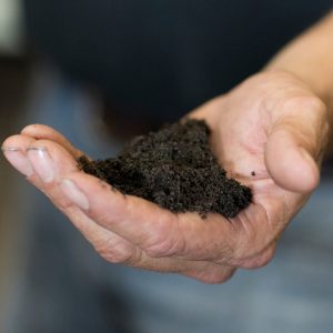 A hand holding a palmful of dark soil