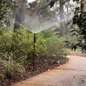 A stick style irrigation head spraying water over shrubs and the sidewalk